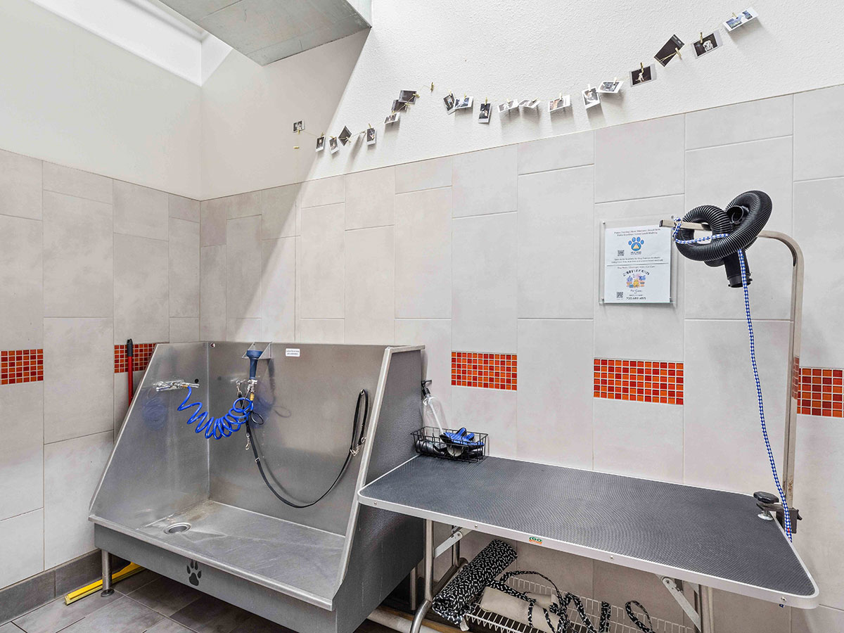 Venue on 16th Pet Wash and Grooming Area